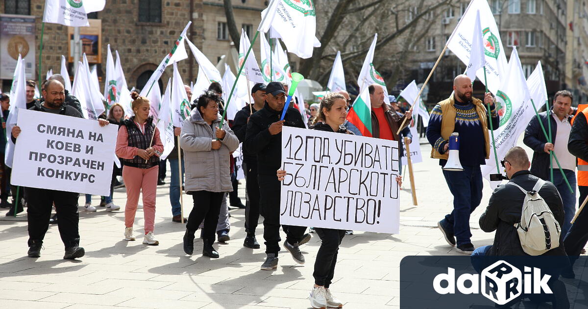Лозари излязоха на протест пред президентството Недоволството е организирано от