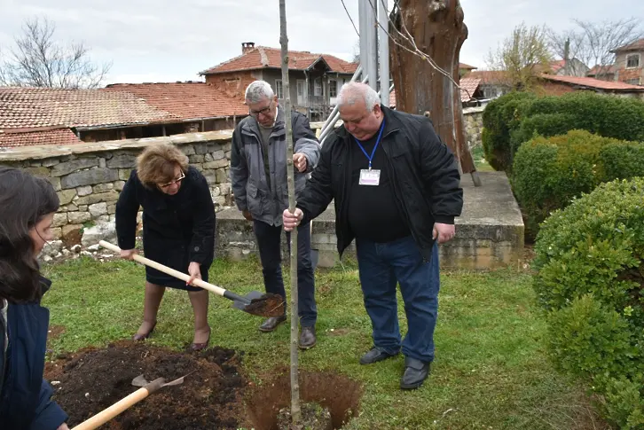 Засадиха бряст до дървото - свидетел на залавянето на Васил Левски в Къкринското ханче