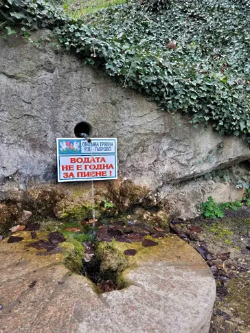 Седем водоизточника в Трявна са с отклонения в показателите