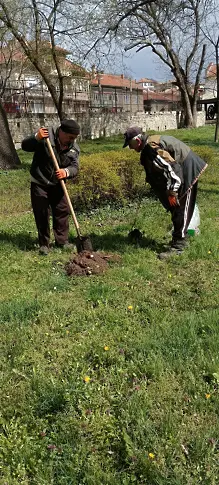 30 фиданки засади днес Община-Бяла в парка на Историческия музей