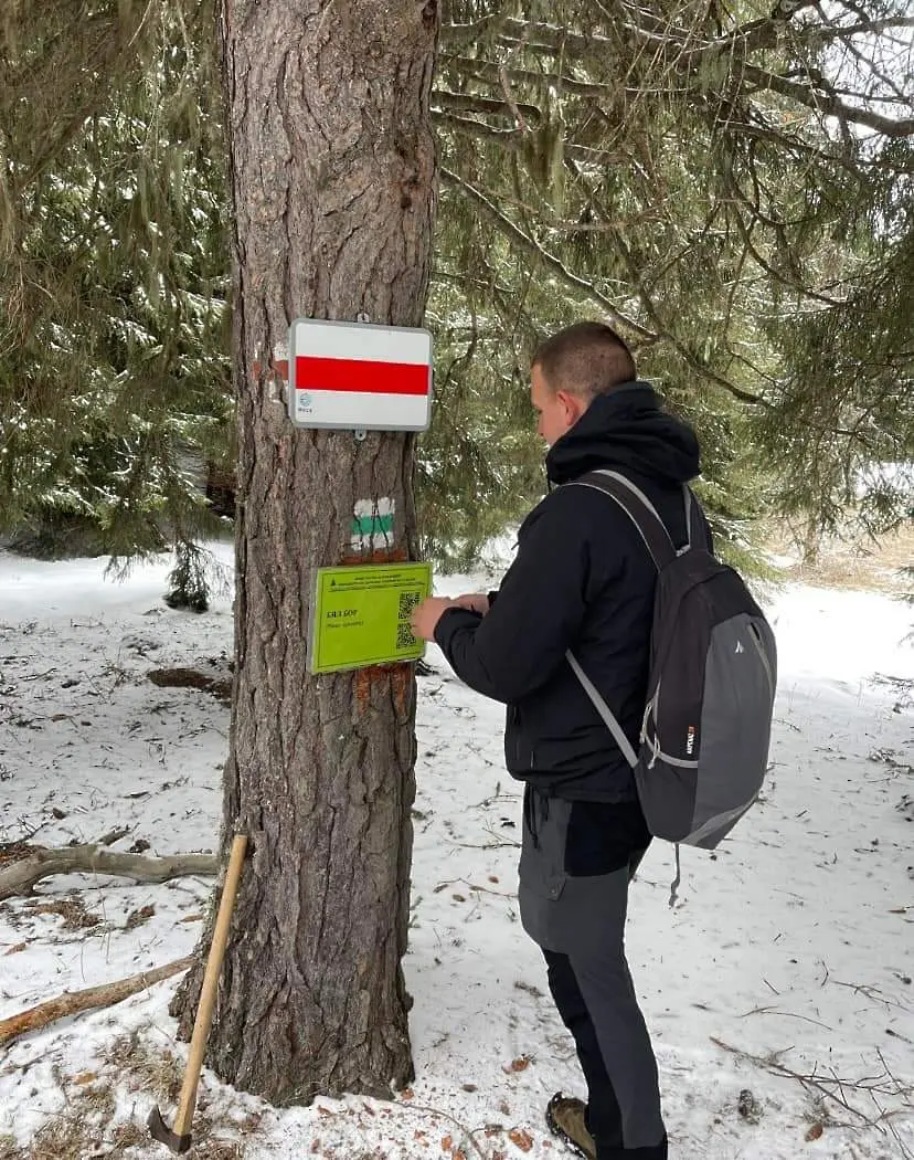Маркират дървета с QR кодове край Михалково 