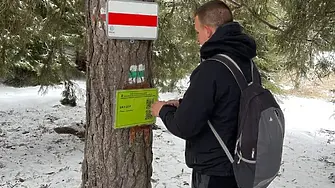 Маркират дървета с QR кодове край Михалково 