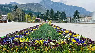Повече от 3 хиляди живи цветя украсиха площад 