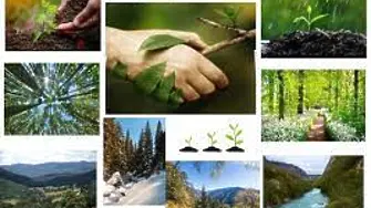 Различни инициативи в Седмицата на гората на територията на СЗДП Враца