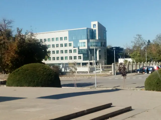 В офиса на НАП в Русе  са получени повече  декларации за доходите от миналата година