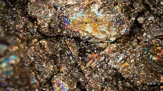 Вижте богатата колекция от минерали, скали и фосили в петък в Геологическия институт на БАН