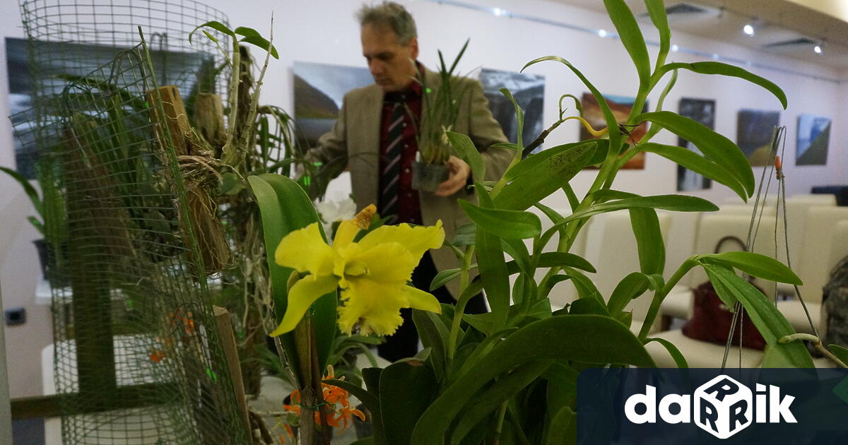 За пръв път в България ще се проведе Орхидеен фестивал