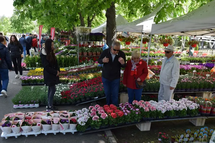 С изобилие от цвят и аромат: За 38-ми път откриха изложението "Флора"
