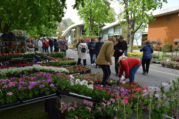 С изобилие от цвят и аромат: За 38-ми път откриха изложението "Флора"