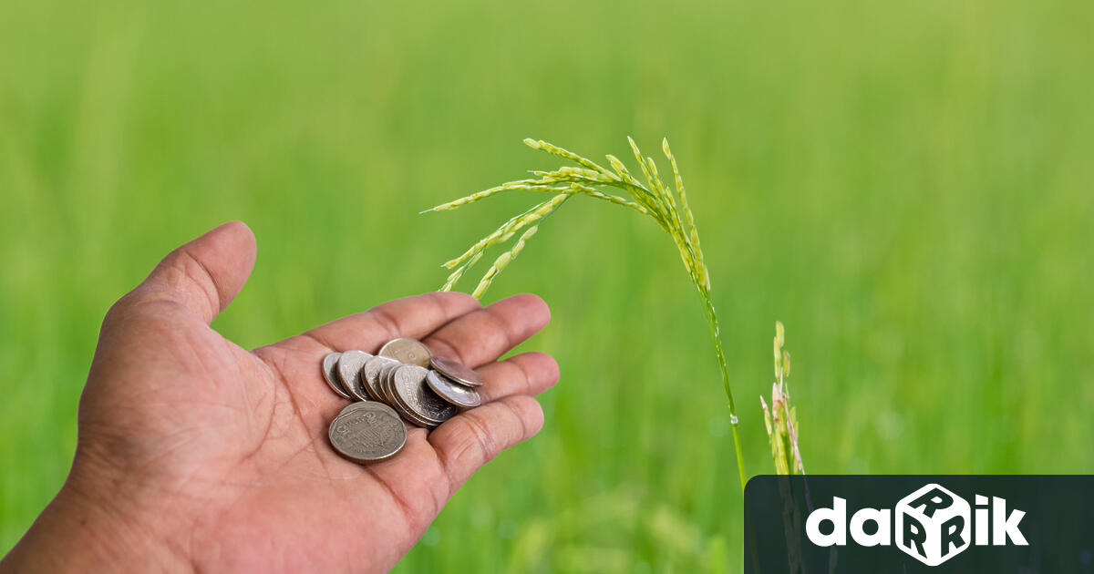 Държавен фонд Земеделие“ (ДФЗ) преведе 175 626 718 млн. лева