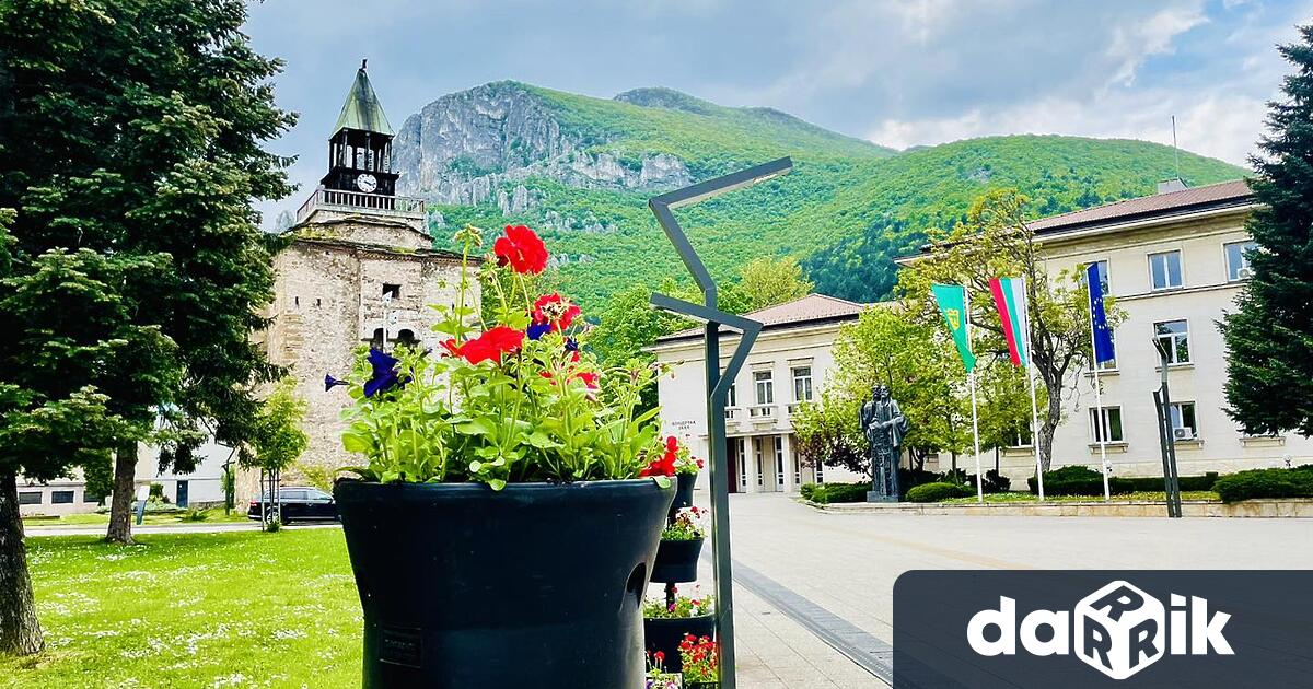 Нови цветни кули красят централната пешеходна зона във Враца Пъстрата композиция