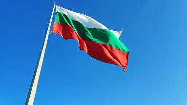 Референдуми по български