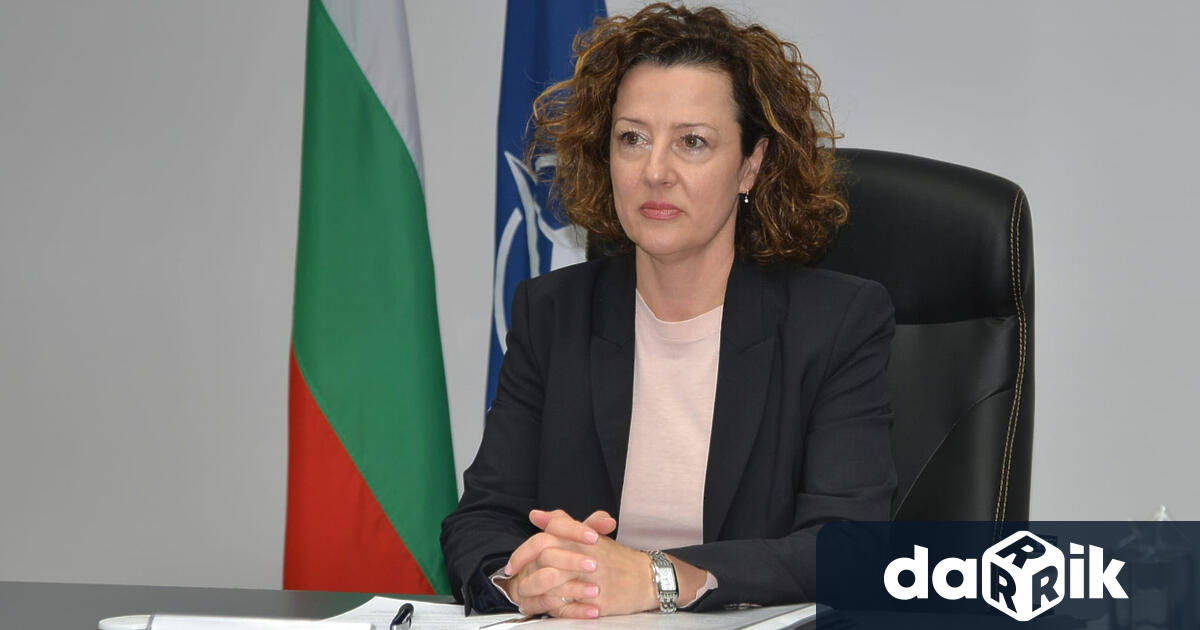Ирена Димитрова е била заместник министър на външните работи в Кабинета
