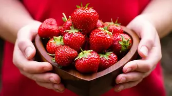 За първи път организират Фестивал на ягодата в Кричим