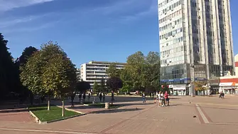 Арт инсталация в центъра на Добрич напомня значението на дърветата за градската среда