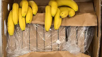 В контейнери с банани: Италианската полиция откри кокаин за 800 милиона евро