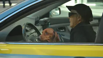 Пиян шофьор, спрян за превишена скорост, размени местата с кучето си, за да избегне арест