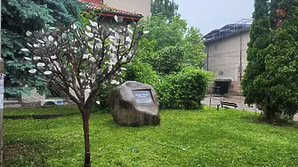 Единствено в България: Родово дърво с всички местни фамилии поставиха в Пещера