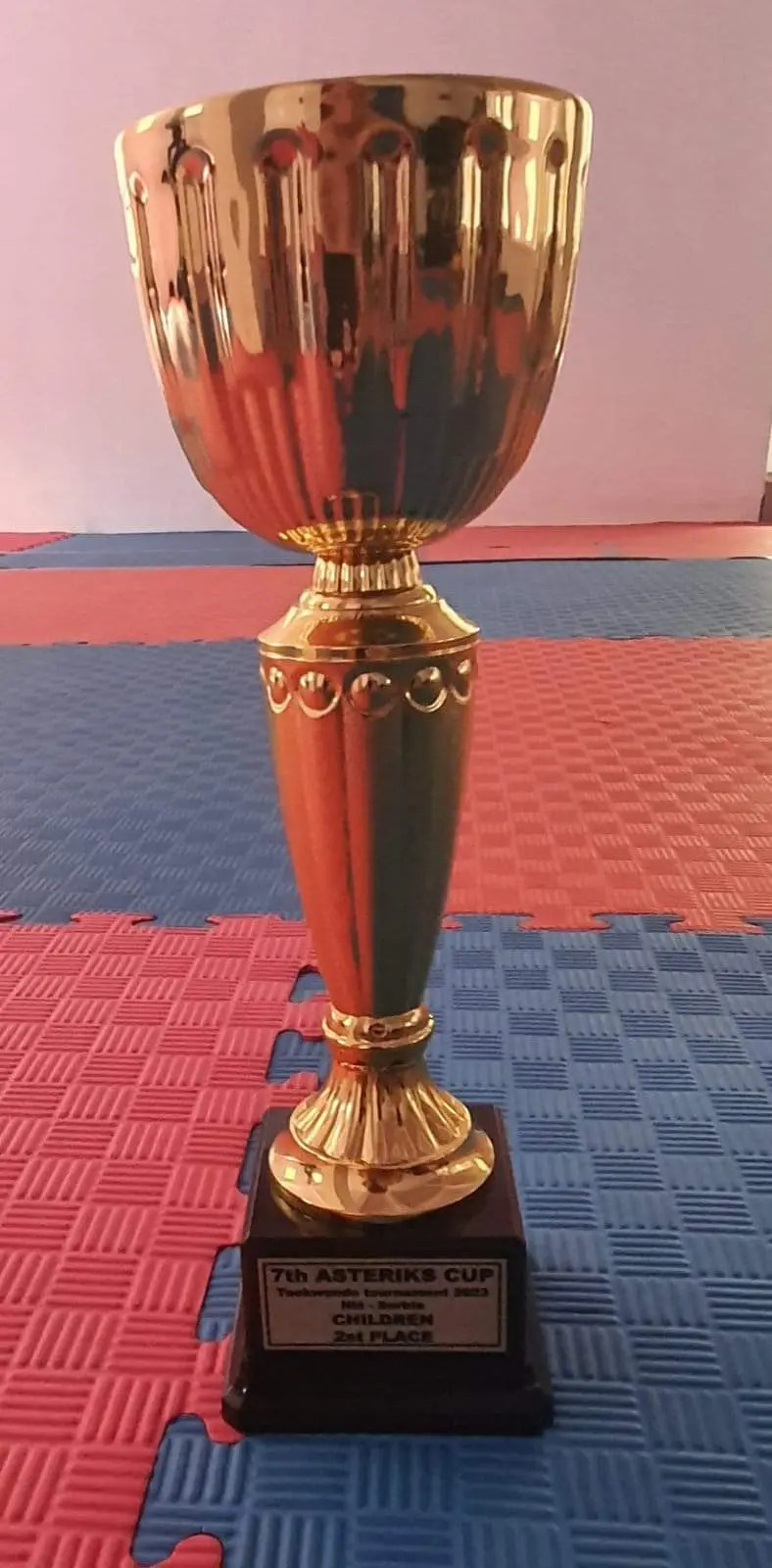 15 медала спечели ТК Нерон от международния турнир 7th Asteriks Cup