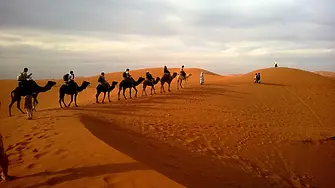 „Молех се на Бог да ме избави от болката“: Бременна жена пътува седем часа с камила, за да роди