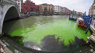 Водата в Канале Гранде във Венеция стана флуоресцентно зелена (видео и снимки)