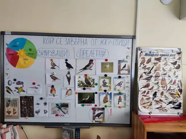 Опазването на природата и птиците – акцент в обучението в пловдивската детска градина „Мирослава“