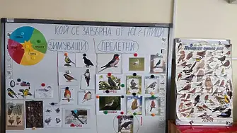 Опазването на природата и птиците – акцент в обучението в пловдивската детска градина „Мирослава“