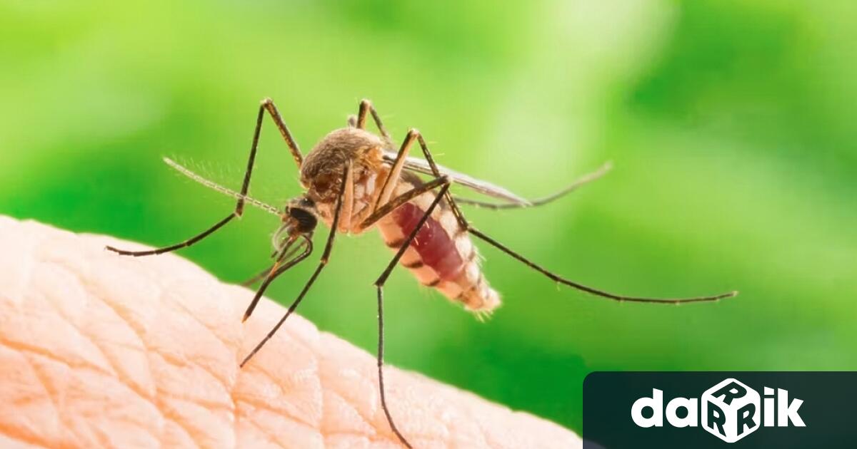 В периода 6 – 12 юнина територията на община Русе