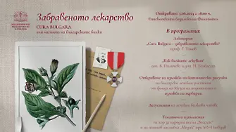 Лечебната сила на българските билки представят в Епископската базилика на Филипопол