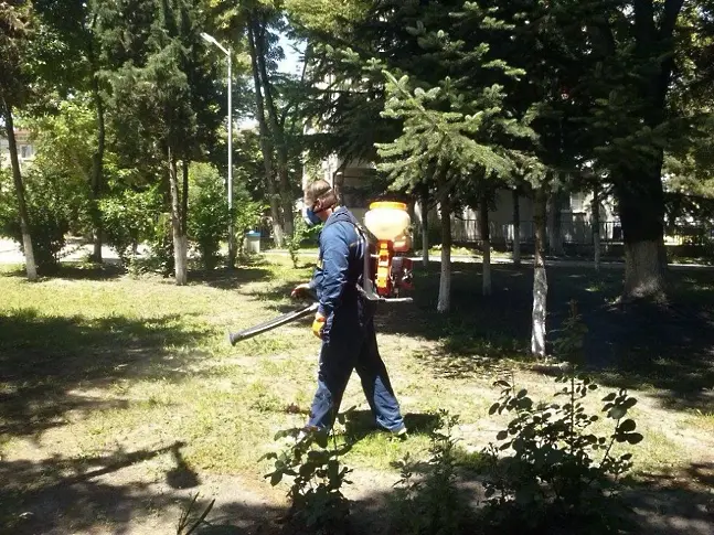 1500 дка зелени площи във Варна са обработени срещу кърлежи