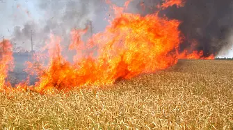 РДПБЗН-Силистра с мерки за опазване на реколтата от  пожари