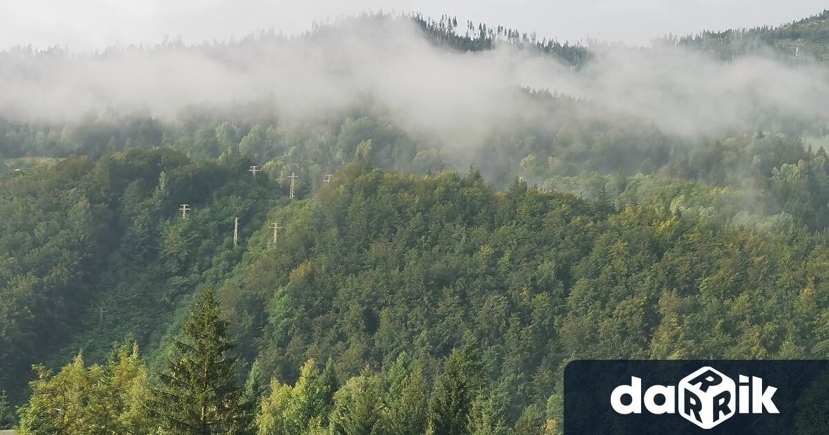 Утвърдени са нови правила за изкупуване на частни гори от