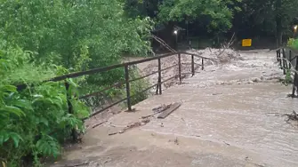 Частично бедствено положение в Етрополе, дъждът наводни къщи и улици (видео)
