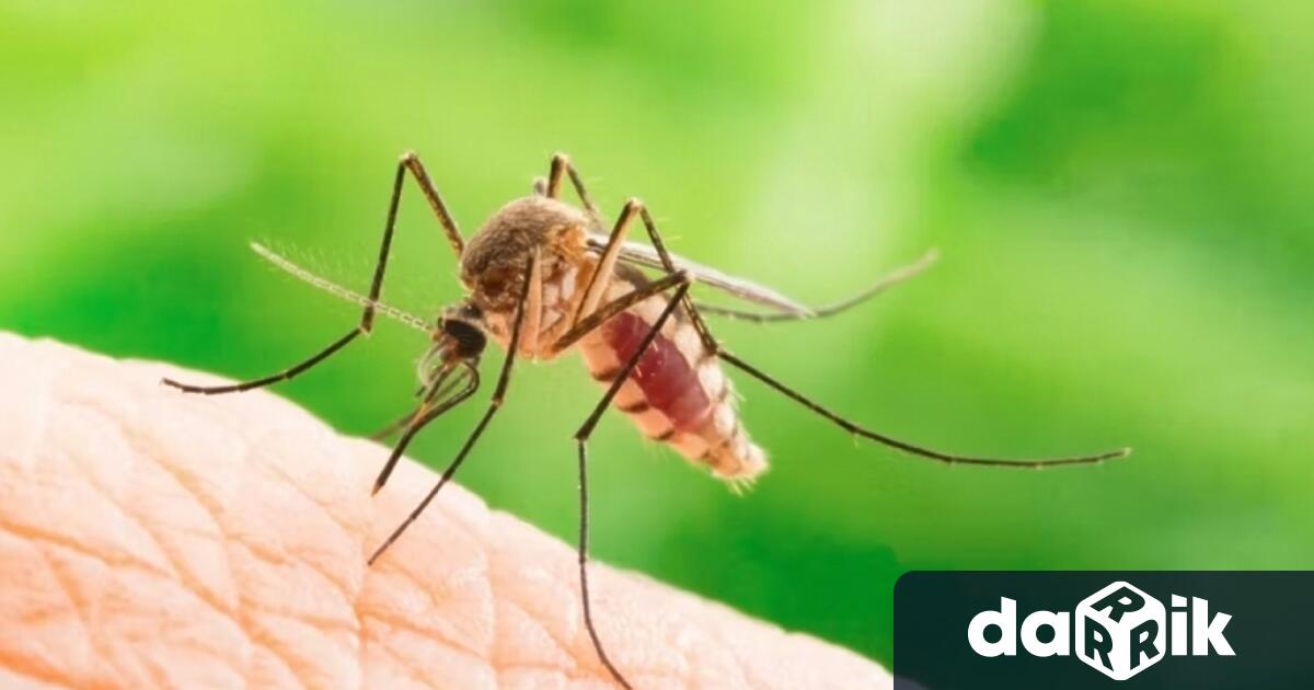 Извънредно и общо пето по реда си пръскане срещу комари