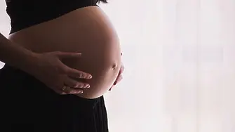 Първи човешки синтетични ембриони дават отговор защо някои бременности са неуспешни