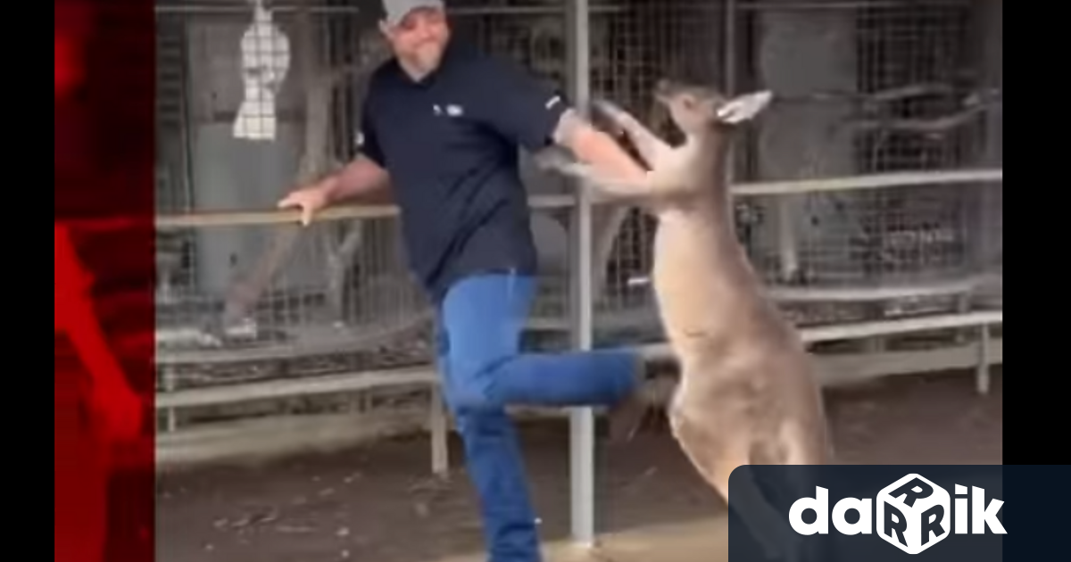 Американски турист е заснет да помага на жена да отблъсне