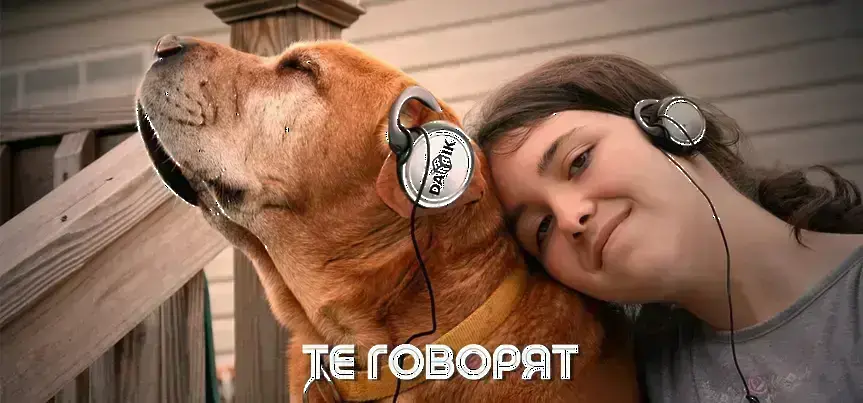 ТЕ ГОВОРЯТ - Епизод 13: Все повече хора осиновяват кучета от общинския приют в Пловдив