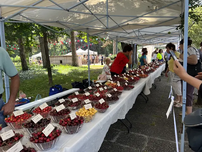 Празникът на черешата в Кюстендил