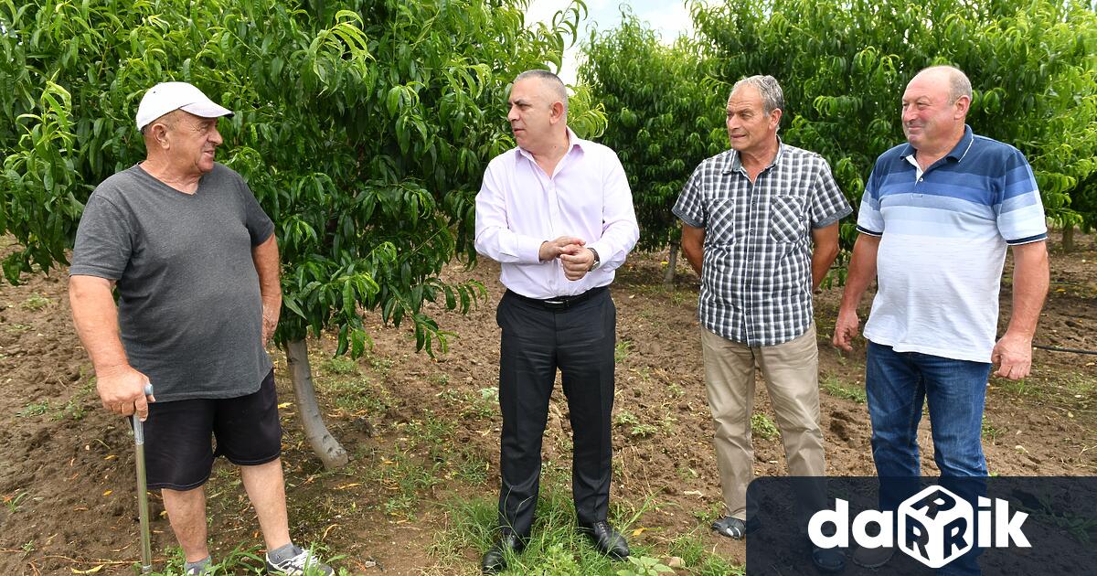 Производители на плодове и зеленчуци от Сливенска община настояват за