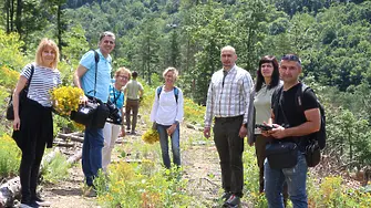 Как се създава гора - експедиентско пътуване на журналисти в Горско стопанство - Берковица