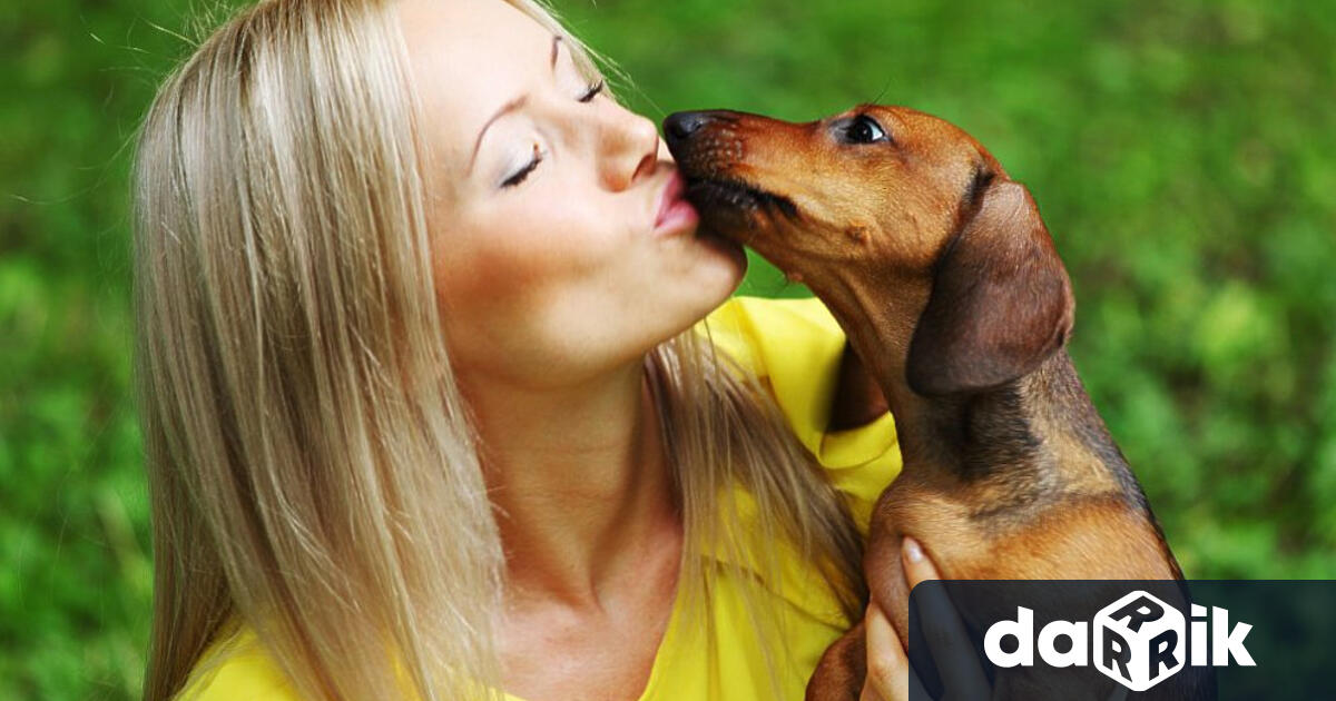 Целувкатаси има свой световен ден и той се чества на