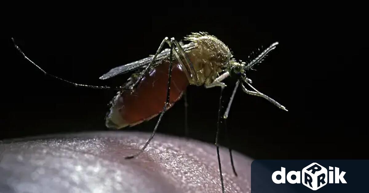 Наземни третирания срещу комари ще се проведат тази вечер на