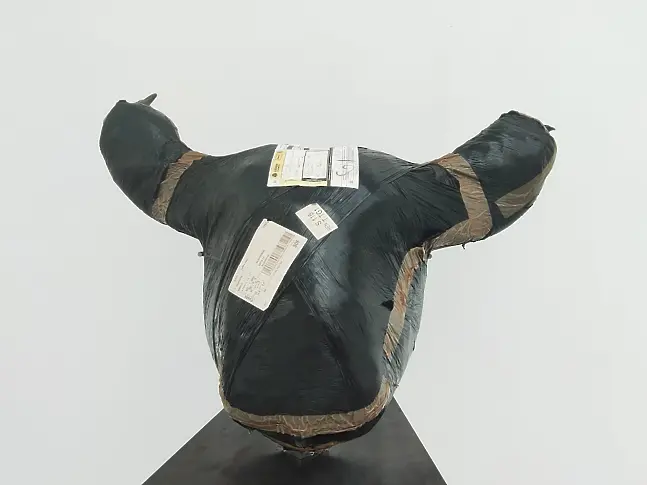 опакована глава на бик
