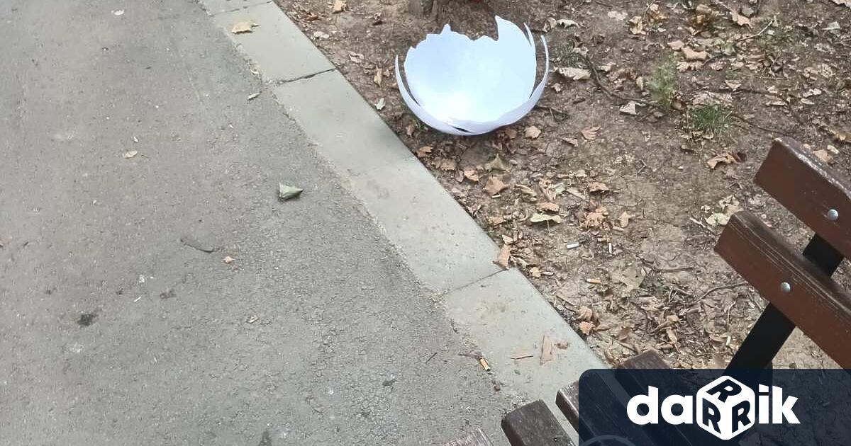 Брутална вандалска проява е била извършена тази нощ по алея