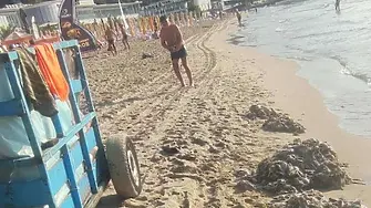 Мокри кърпички изплуваха на плажа във Варна