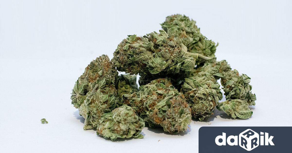 Mъж от Варна ще бъде съден за държане с цел