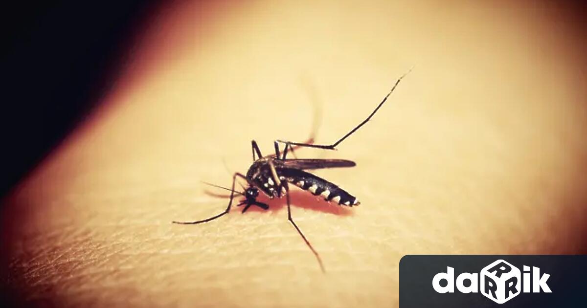 От събота, 15 юли започва пръскането срещу комари по земя