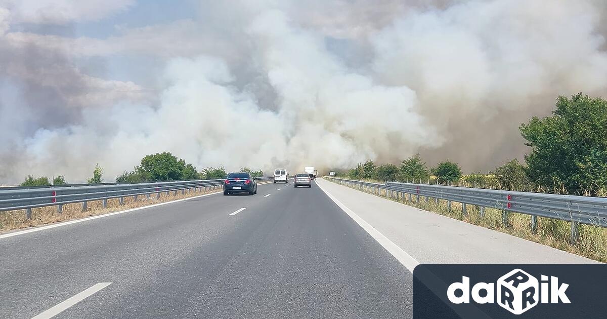 Голям пожар избухна край р Марица в близост до Захарна