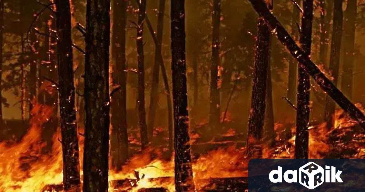 Голям пожар гори на входа на град Русе от София