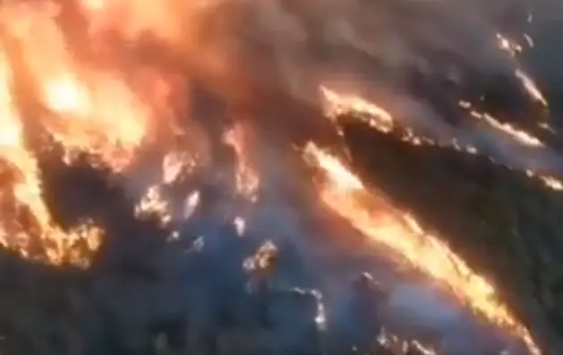 Големи горски пожари в турските окръзи Хатай, Чанаккале и Мерсин (видео)